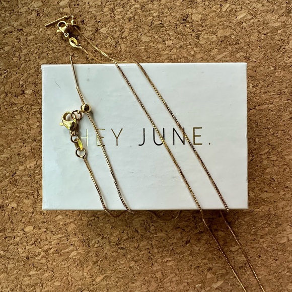 NEW IN BOX Hey June Skinny Box Necklace & Matching Bracelet - Picture 1 of 8